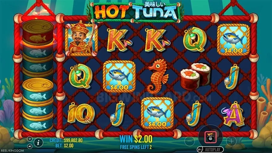taya365 Understanding Roulette Odds